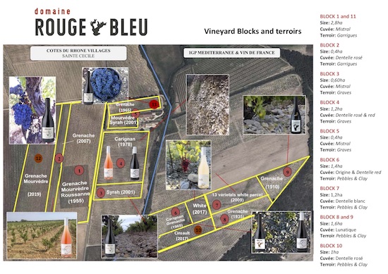 Rouge-Blue Vineyard Blocks and Terroirs (2022-03-18).jpg