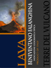 Lava_Falanghina_100.jpg