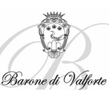 Valforte_logo.jpg