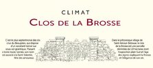 wine label copy.jpg